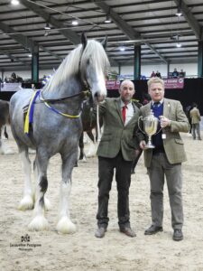 Herkules White Walker